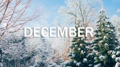 December Newsletter
